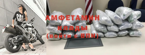 ГАЛЛЮЦИНОГЕННЫЕ ГРИБЫ Медвежьегорск