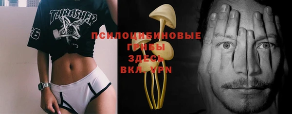 твердый Кострома
