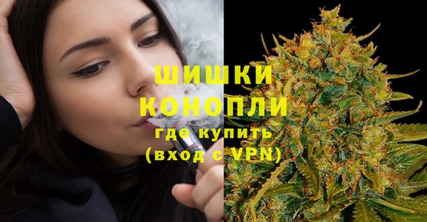 крисы Мегион