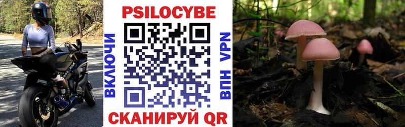 цены   Махачкала  мега ТОР  Псилоцибиновые грибы Psilocybine cubensis 