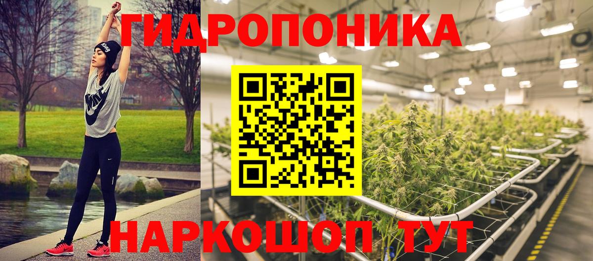 Бошки марихуана MAZAR Махачкала